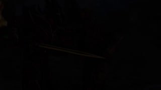 RMRP готовит проект по Skyrim: на закрытом тестировании было 512 игроков